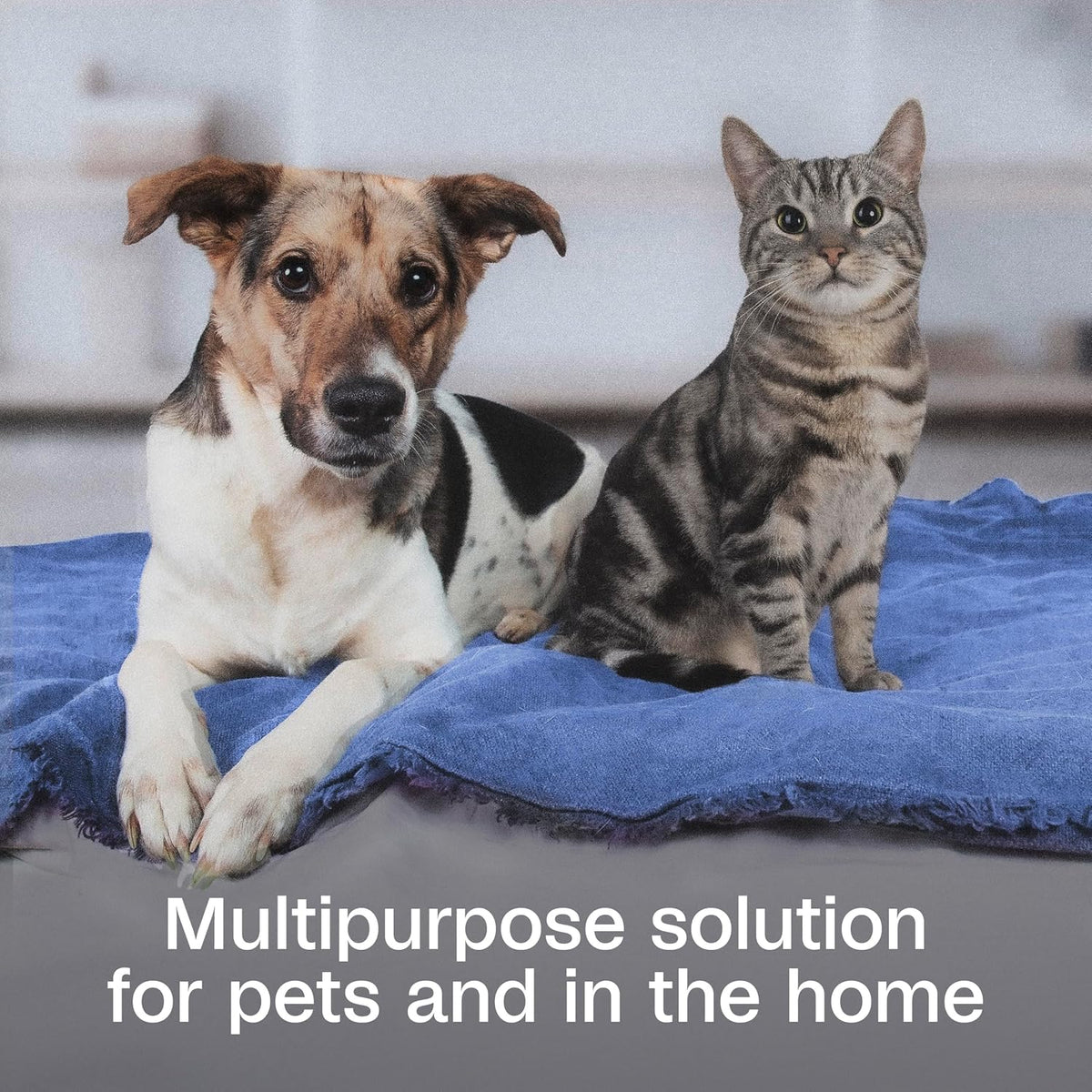 Adams plant based flea and tick treatment for pet bedding and furniture