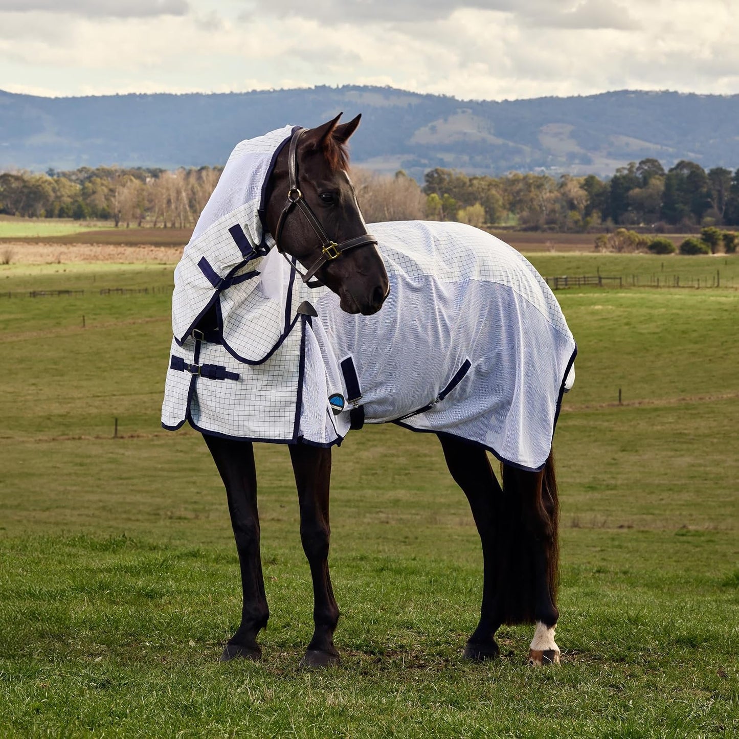 WeatherBeeta summer sheet side view showing traditional shoulder gussets and lower mesh ventilation panels