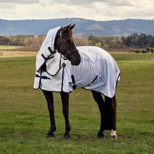 WeatherBeeta summer sheet side view showing traditional shoulder gussets and lower mesh ventilation panels