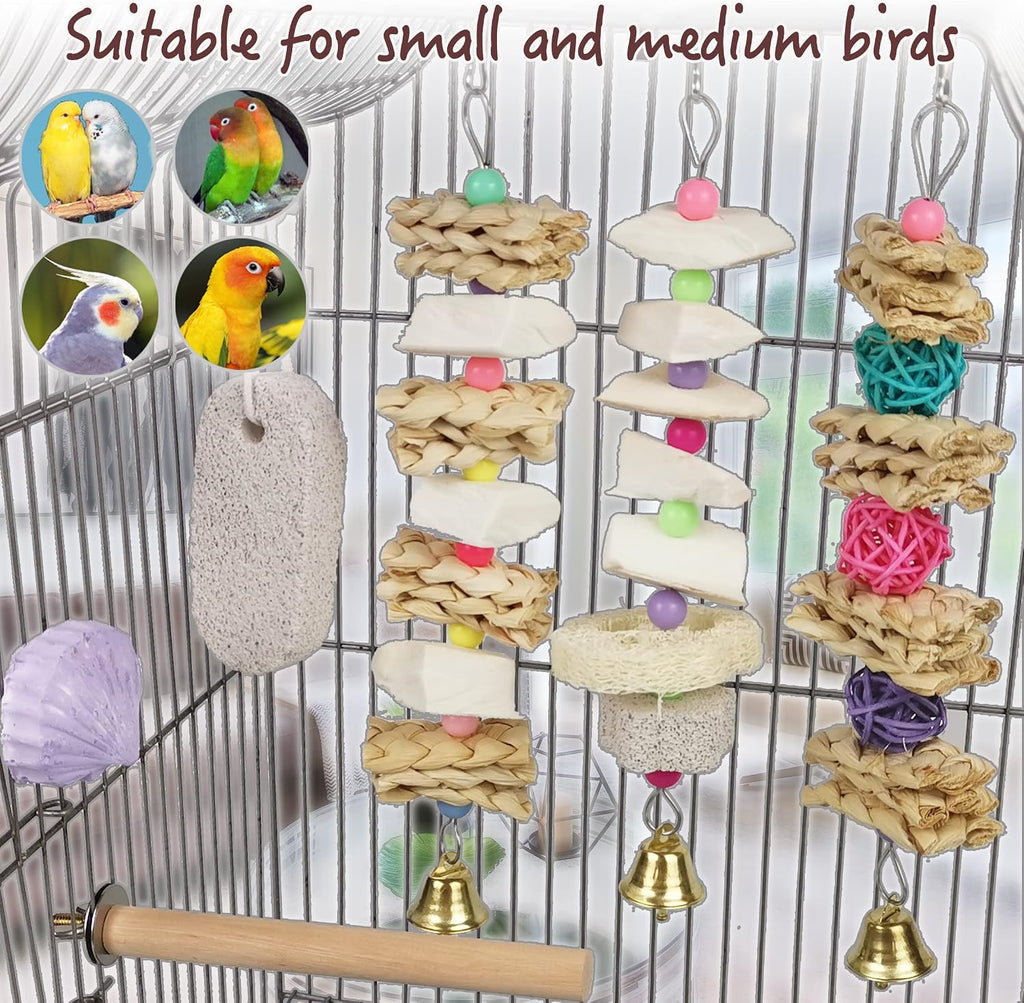 Close up of natural cuttlebone and calcium stone bird beak trimmer
