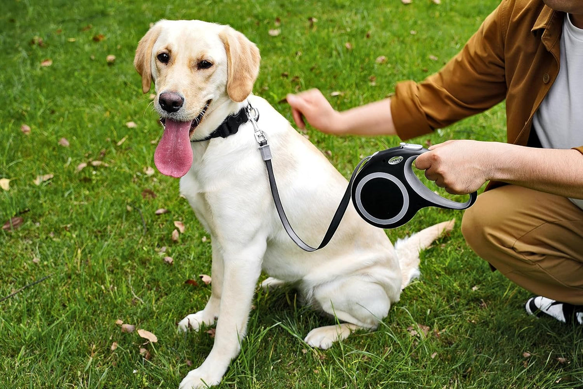 Jubdug retractable leash packaging and components