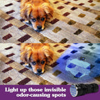 Handheld ultraviolet dog urine detector glowing on dark carpet surface