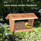 Comparison of shell-free Kaytee seed versus standard bird seed mix
