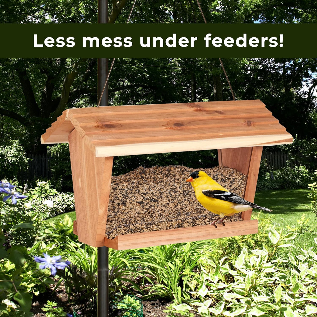 Comparison of shell-free Kaytee seed versus standard bird seed mix