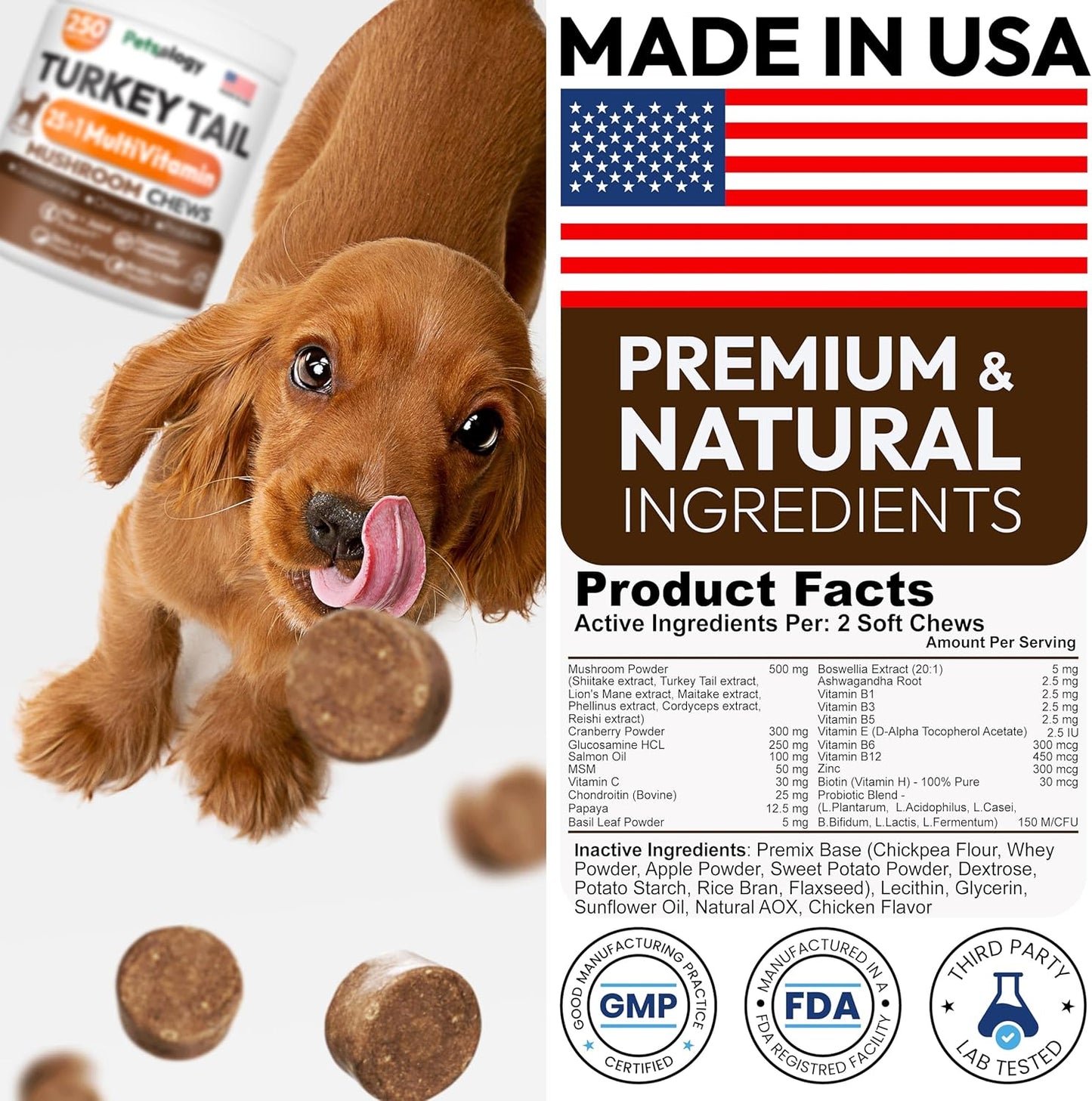 Petsology multi-pack container of mushroom soft chews for comprehensive pet vitality.