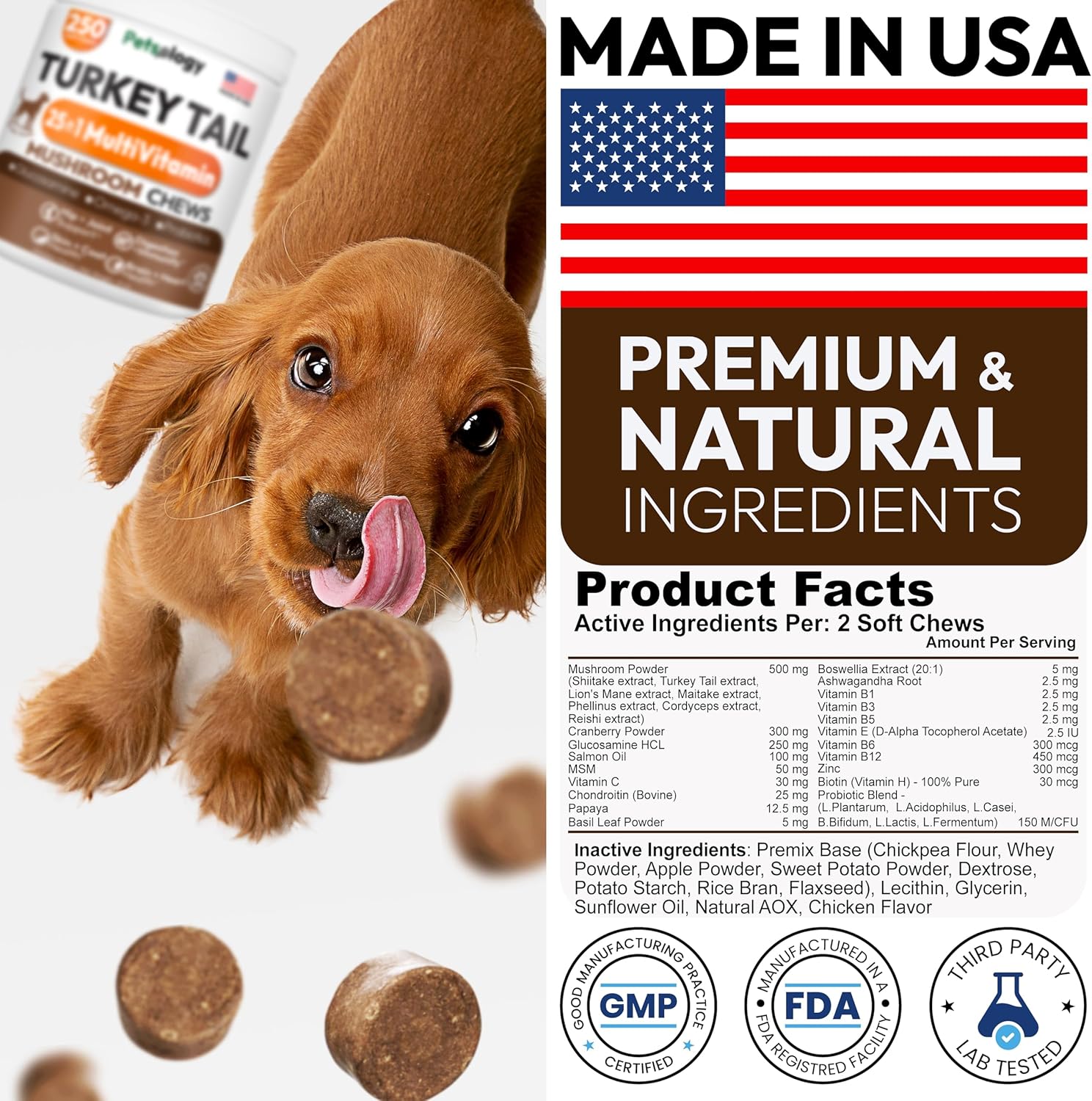 Petsology multi-pack container of mushroom soft chews for comprehensive pet vitality.