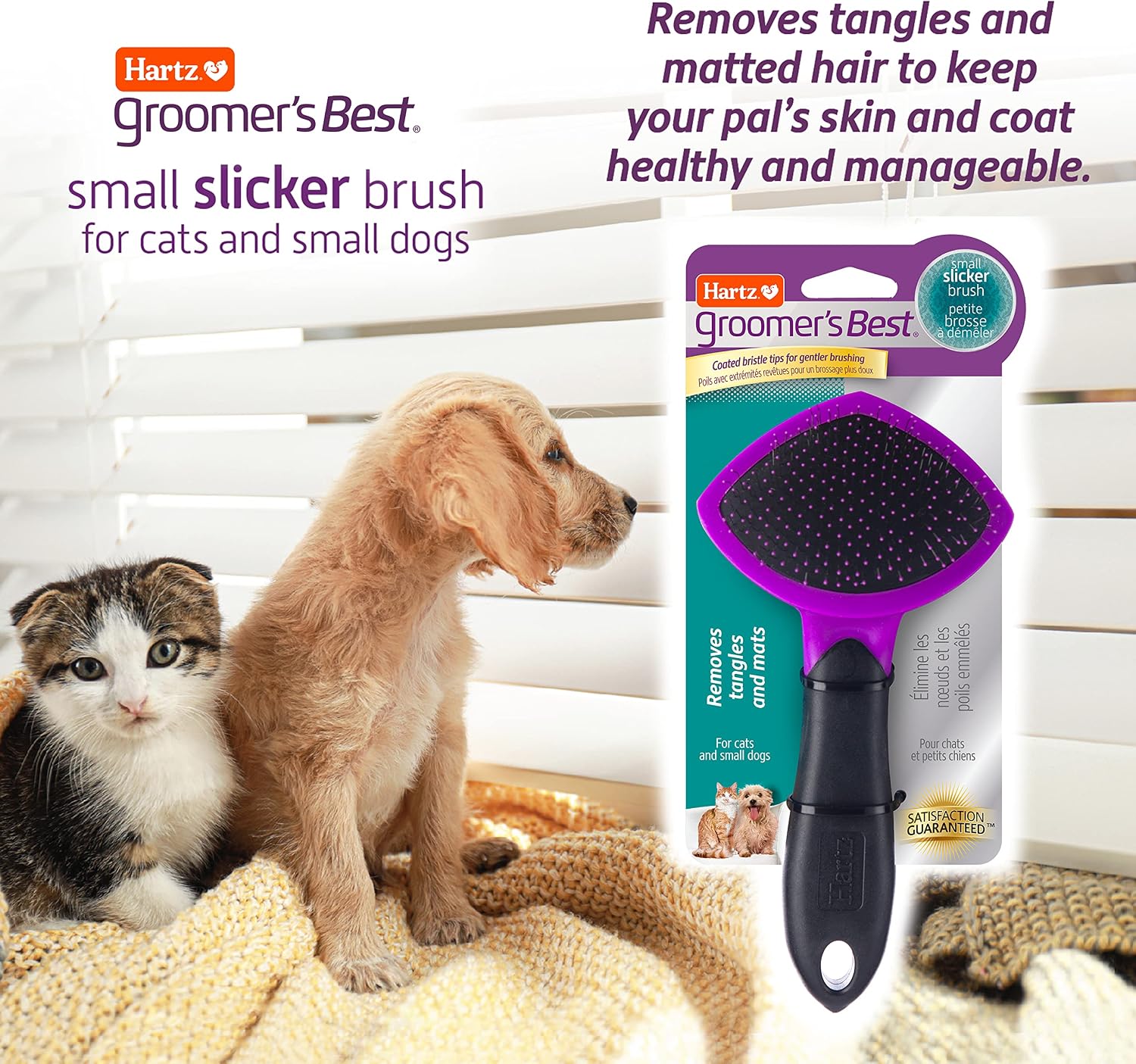 Hartz pet brush with coated stainless steel bristles for gentle detangling