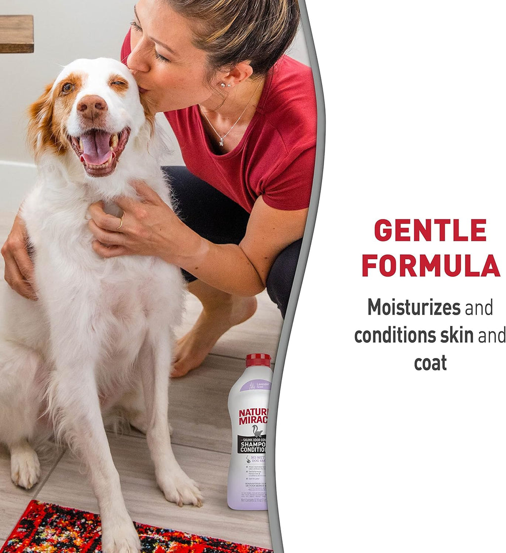 Lavender scented two in one pet wash with colloidal oatmeal and aloe vera