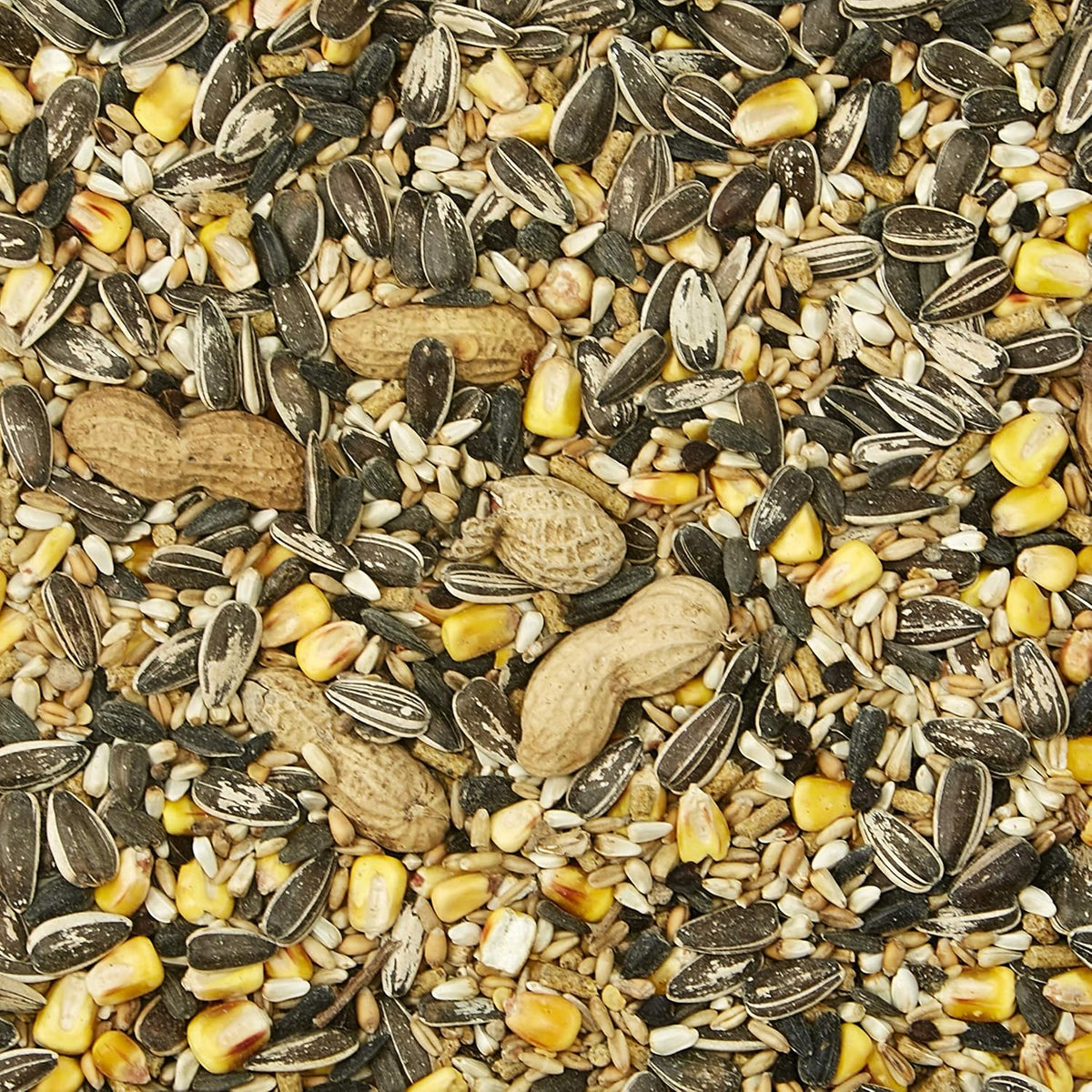 Kaytee Supreme Pet Parrot Food, Natural Seed & Grain Blend, 5 Pounds - Image 2