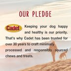 Cadet beef hide single ingredient base pet treats texture close up