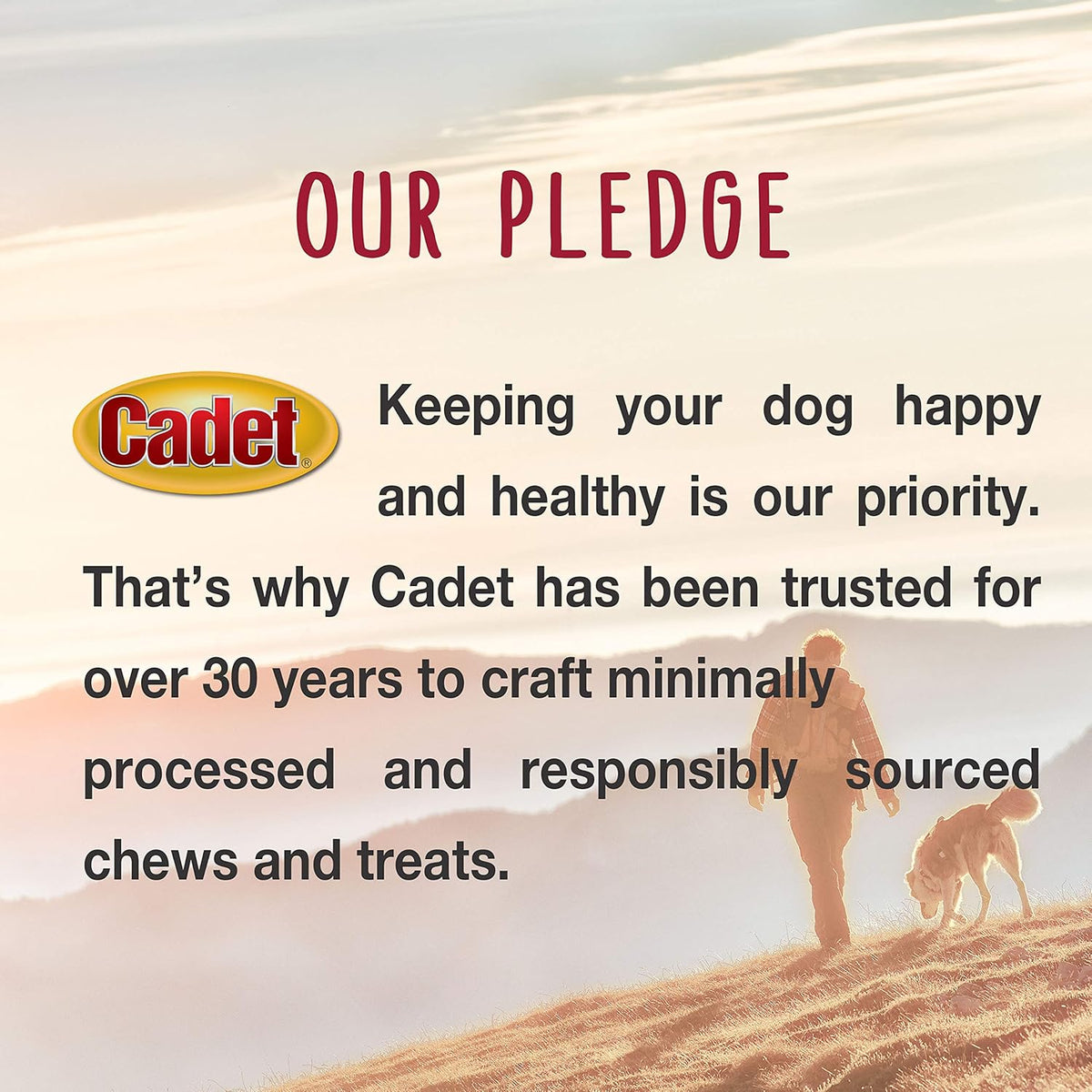 Cadet beef hide single ingredient base pet treats texture close up