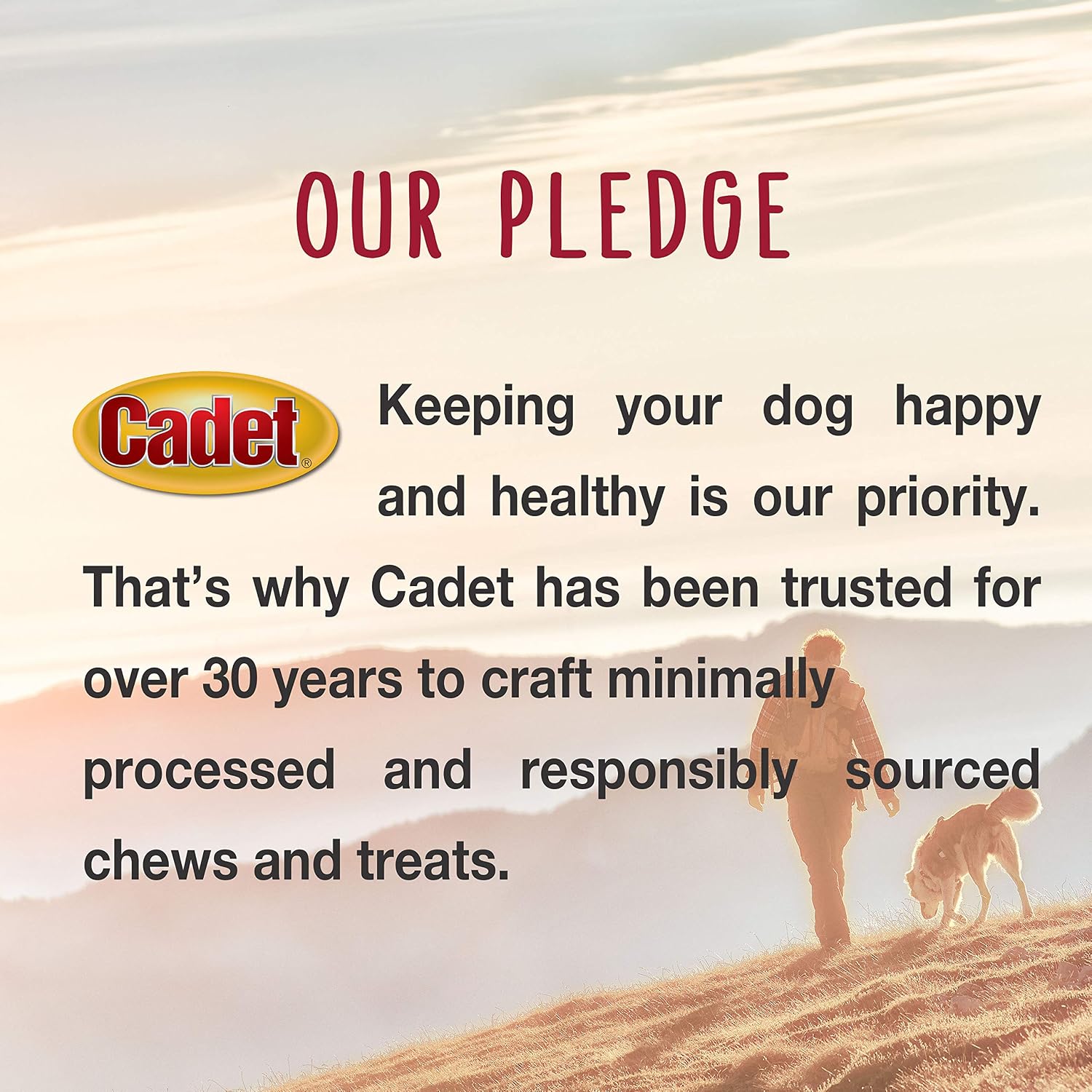 Cadet natural beef hide dog chew bone displayed cleanly to show size and shape.
