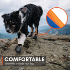 Side profile of dog paws wearing protective footwear