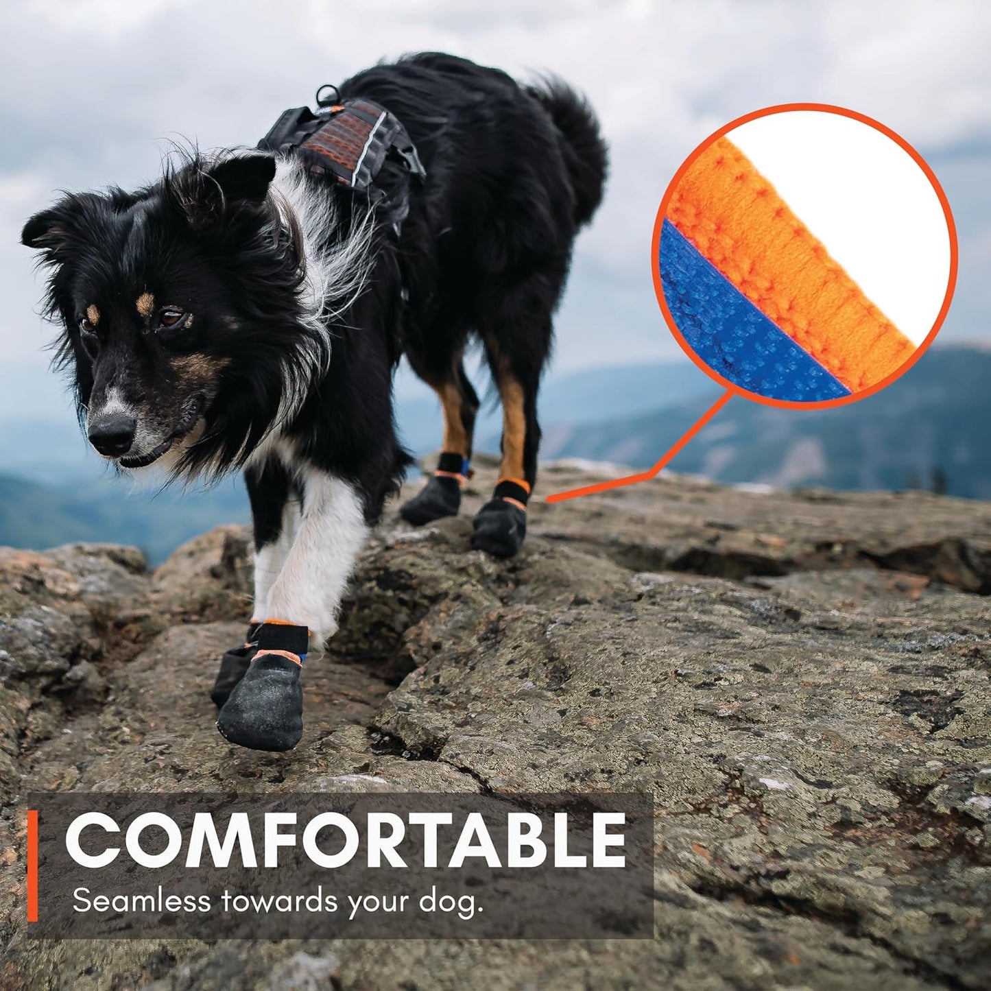 Side profile of dog paws wearing protective footwear