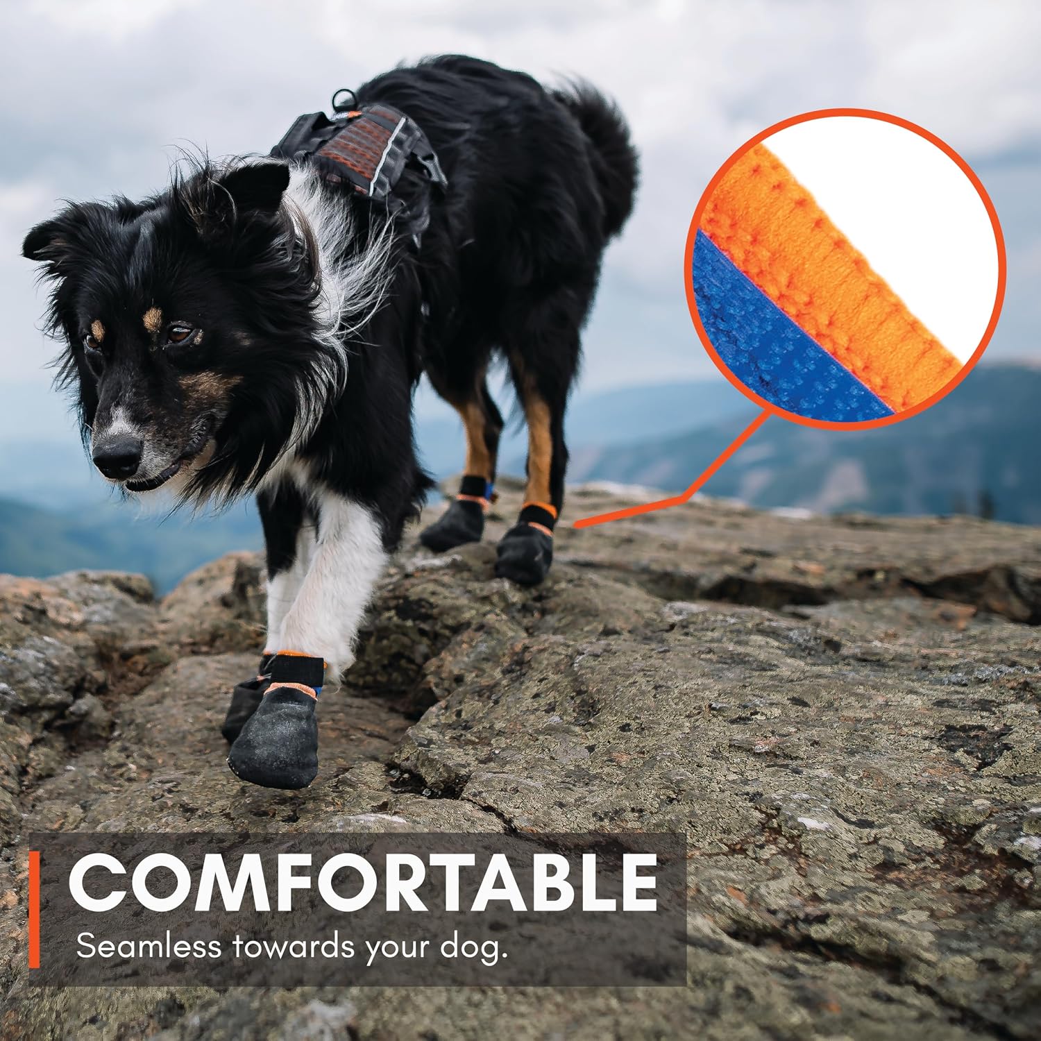 Side profile of dog paws wearing protective footwear