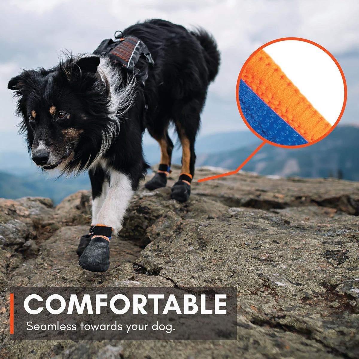 Side profile of dog paws wearing protective footwear