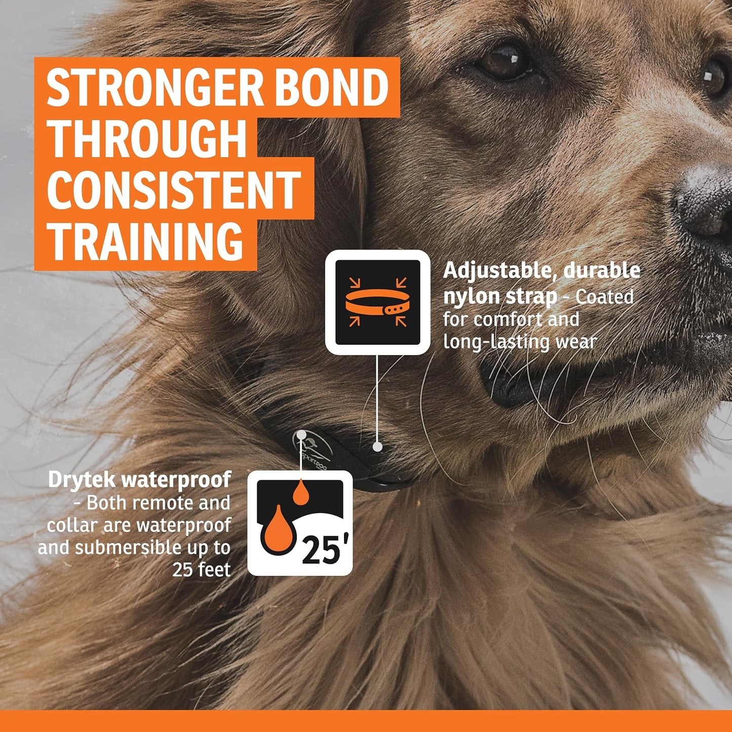 SportDOG waterproof collar receiver with charging cable and contact points