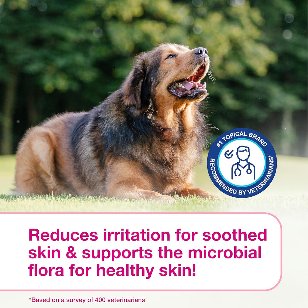 Ophytrium enriched premium skincare foam for domestic canine and feline coat care