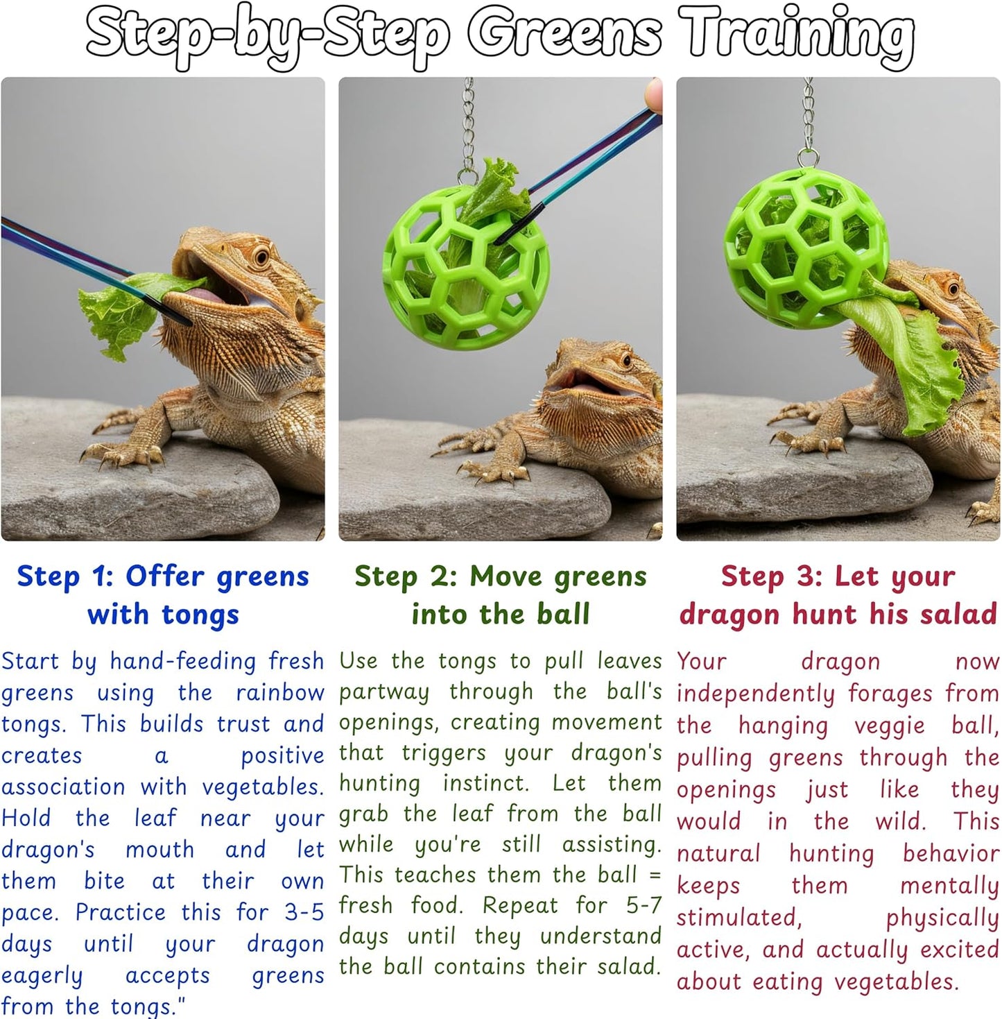 Bearded dragon interactive feeding kit suction cup assembly demonstrating secure mounting on a glass tank wall