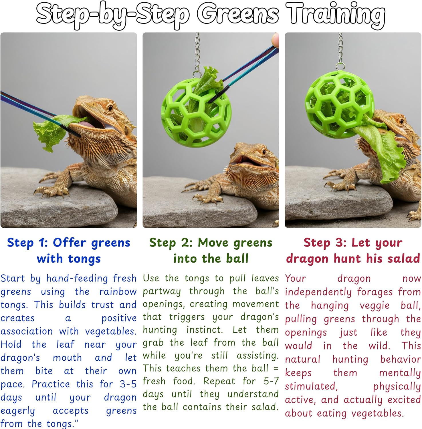 Bearded dragon interactive feeding kit suction cup assembly demonstrating secure mounting on a glass tank wall