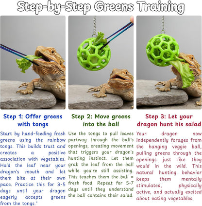 Bearded dragon interactive feeding kit suction cup assembly demonstrating secure mounting on a glass tank wall