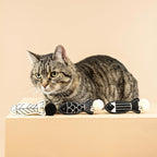 Fringe PetShop Collection durable cotton canvas catnip toys for indoor cats.