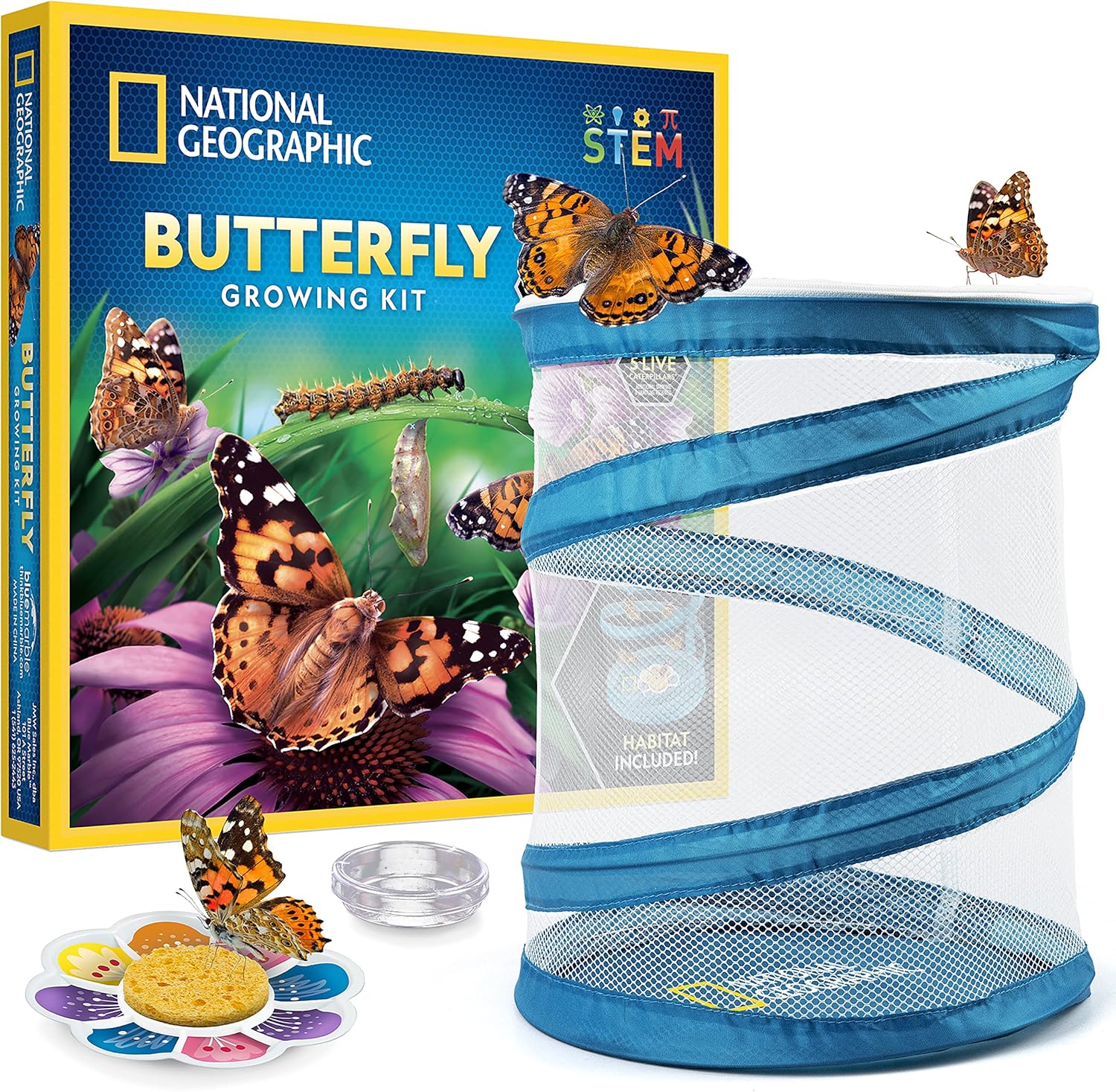National Geographic butterfly growing kit front view showing mesh habitat and box packaging