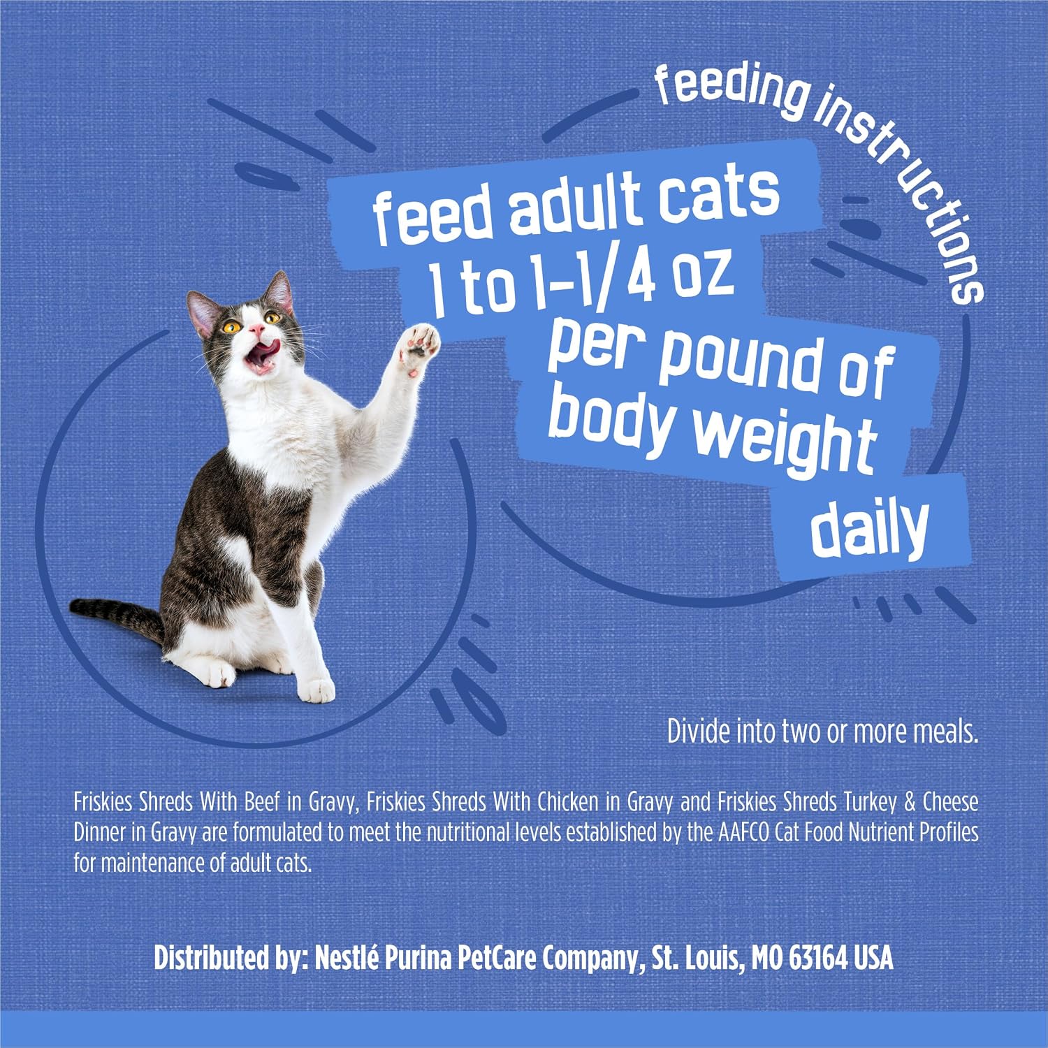 Purina Friskies wet cat food cans arranged in rows