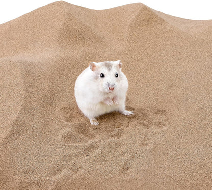 Hamster using Niteangel desert sand bath in enclosure