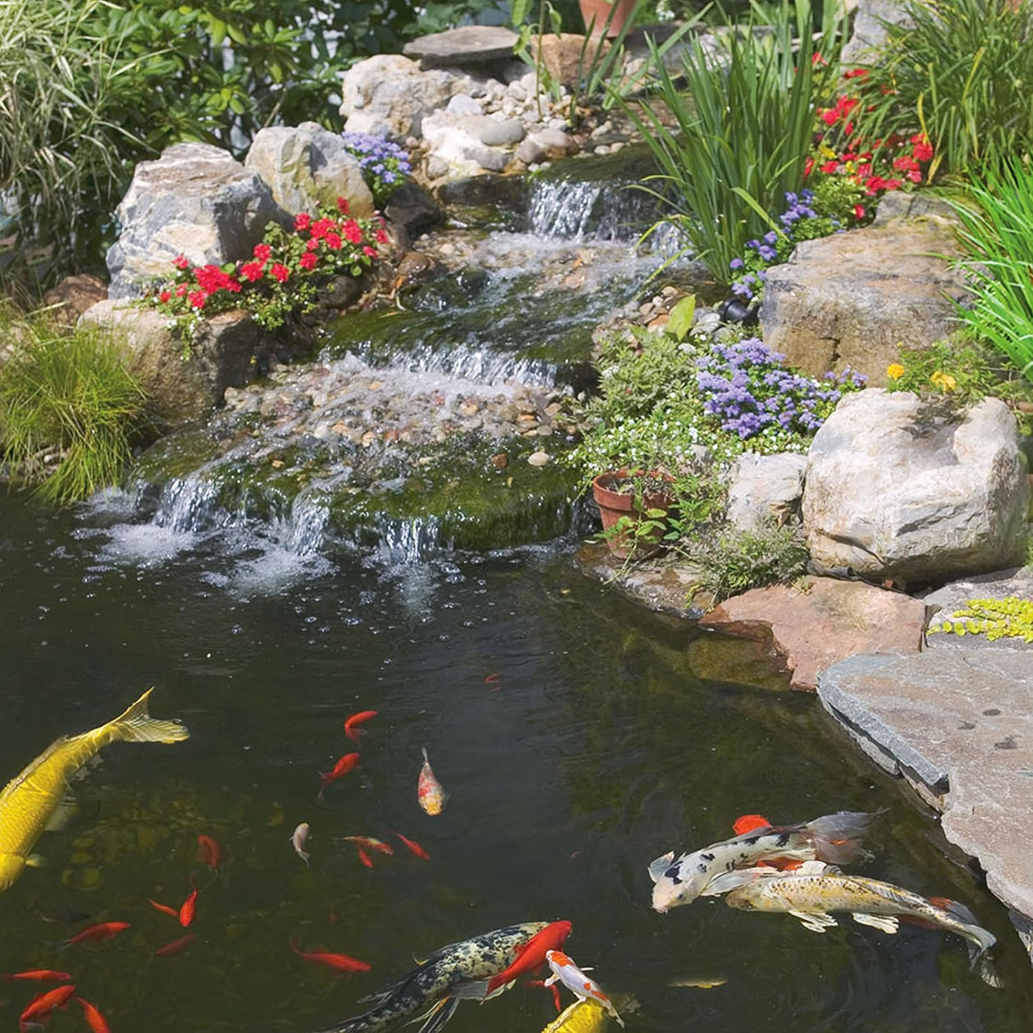TetraPond maintenance diet for goldfish and koi