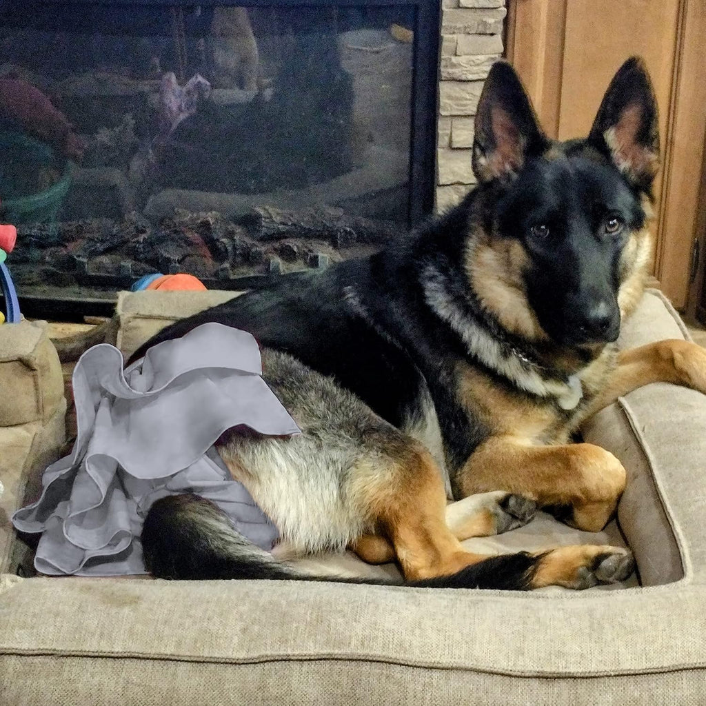 Three different Morandi colored Wegreeco female dog diapers lined up to showcase the stylish skirt design.