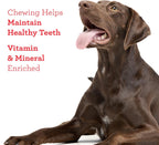 Dreambone Churro-Style Dog Sticks, Treat Your Dog to a Chew Made with Real Chicken 14 Count (Pack of 1) - Image 9