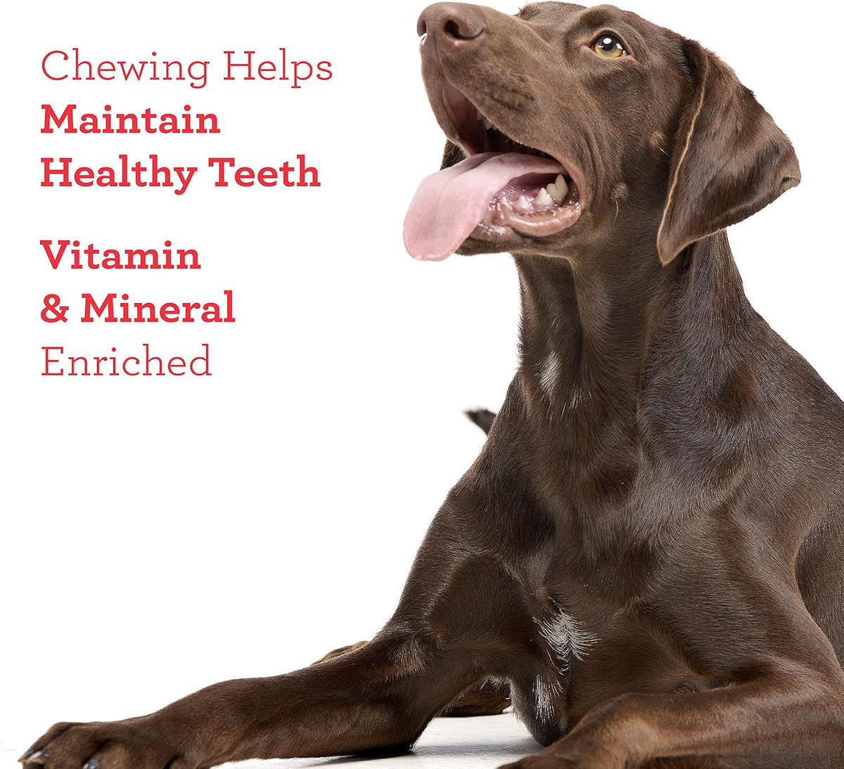 Dreambone Churro-Style Dog Sticks, Treat Your Dog to a Chew Made with Real Chicken 14 Count (Pack of 1) - Image 9