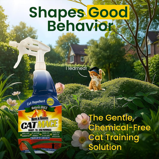 Natural essential oil cat spray deterrent for indoor furniture protection