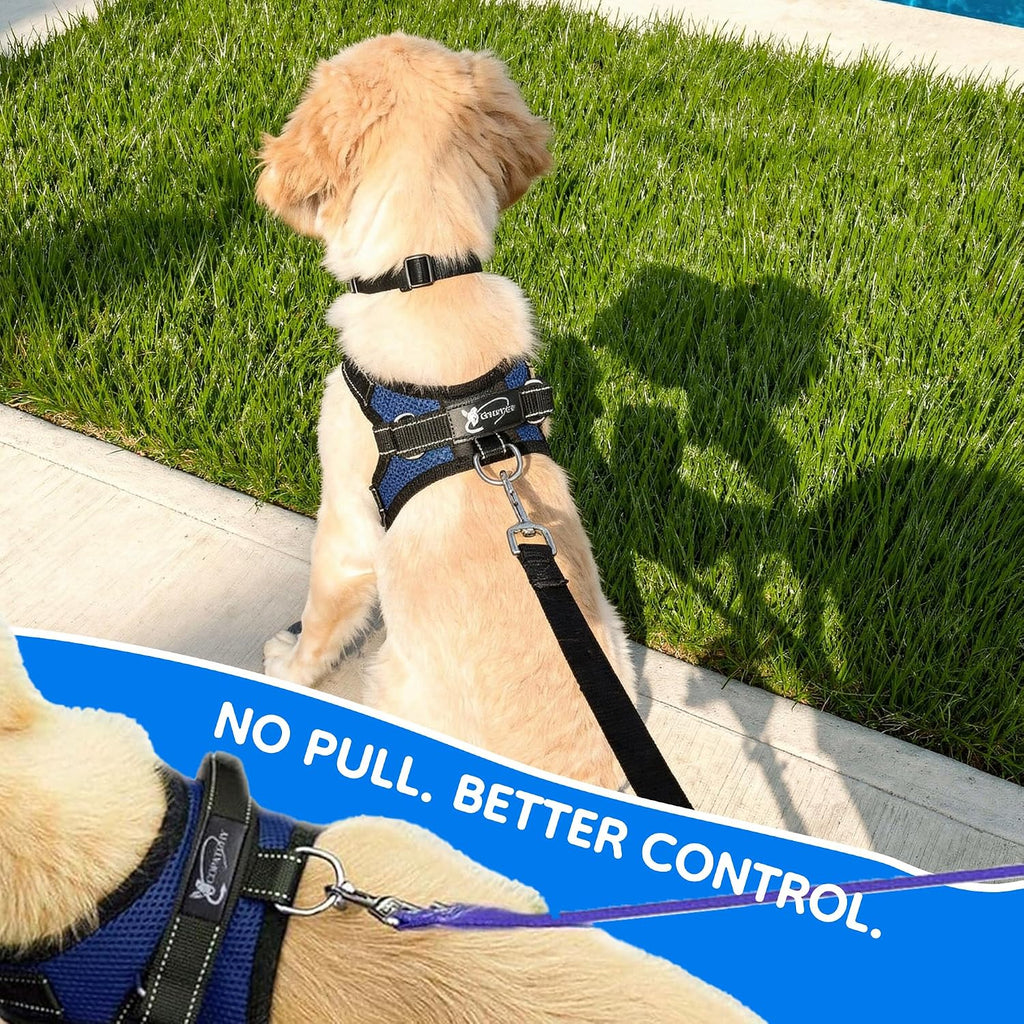 Quick-release buckles on Copatchy small dog harness