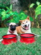 Tuff Pupper SuperBigSlurp wide base design demonstrating stability and spill prevention on a flat surface.