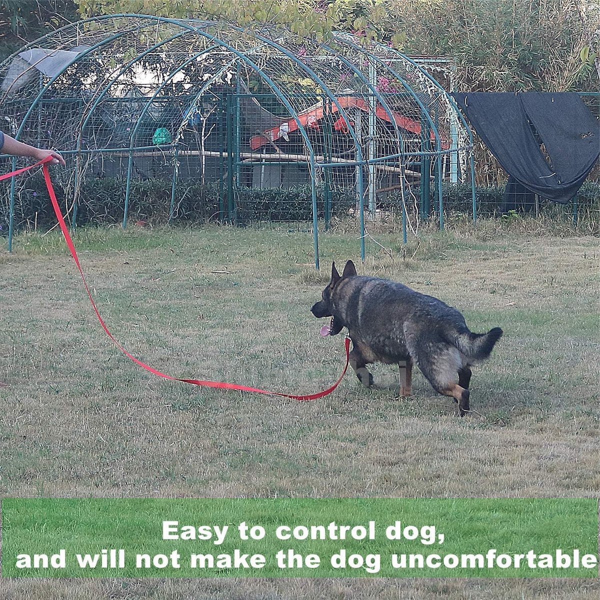 Siumouhoi dog leash used for outdoor recall training and hiking
