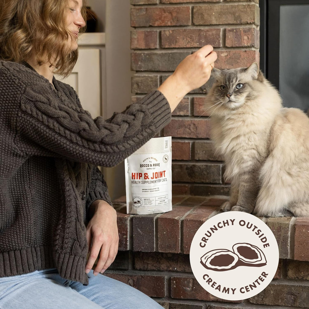 Rocco and Roxie cat joint support chicken flavor chews packaging