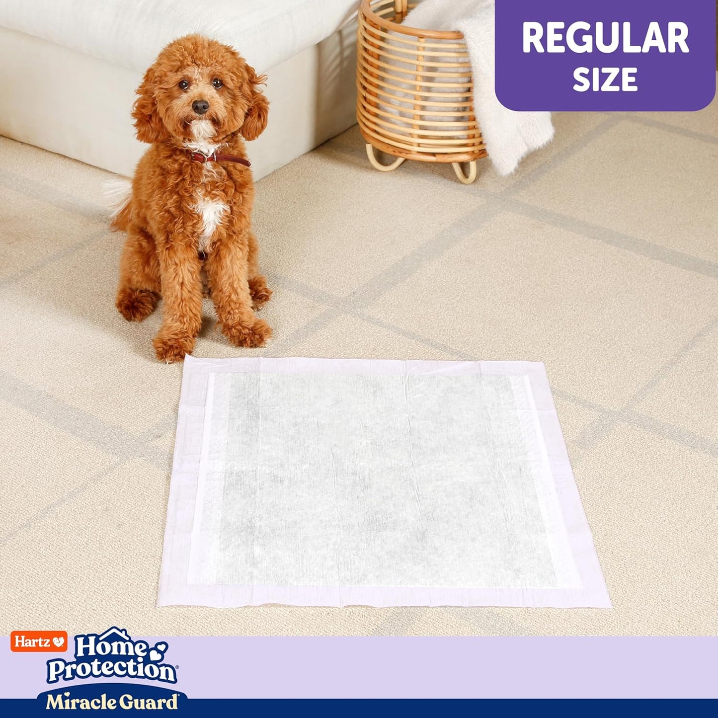 Hartz Miracle Guard Dog and Puppy Dog Pads Max Absorbency 24 Hour Use Odor Eliminating Lavender Scented No Leaks, Regular Size 25 Count - Image 10