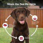 K9 Advantix II over 55 pounds pet medication safety information