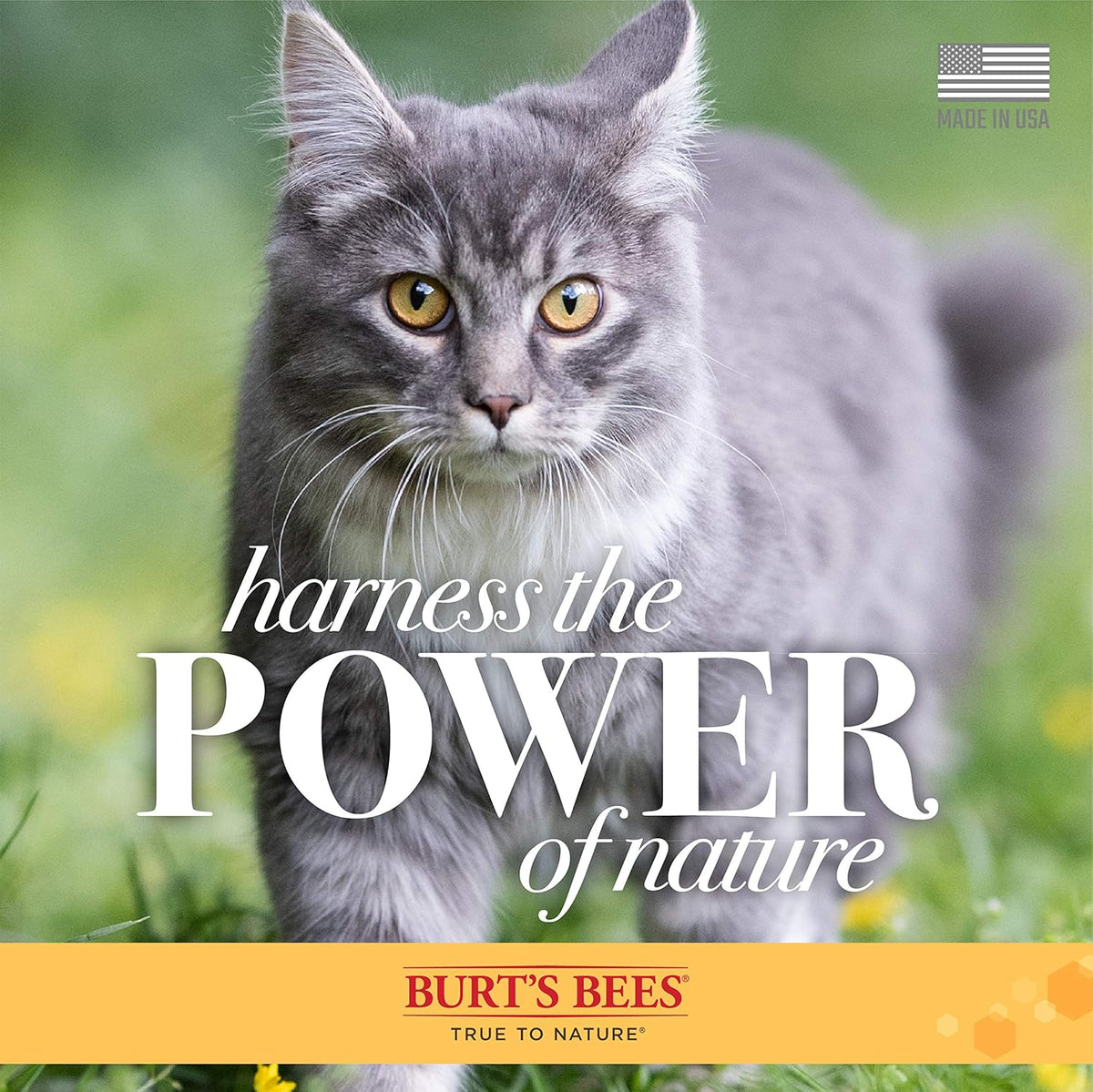 Lifestyle shot of Burt's Bees cat grooming wipes container