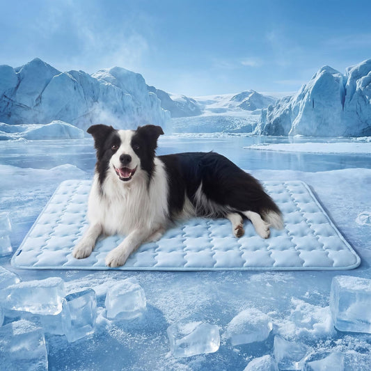 Bedsure cooling dog mat extra large front view on floor
