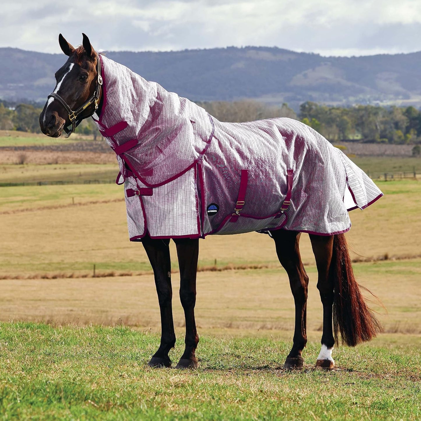 WeatherBeeta ComFiTec Ripshield 81 inch sheet showing the full wrap tail flap and adjustable leg straps.