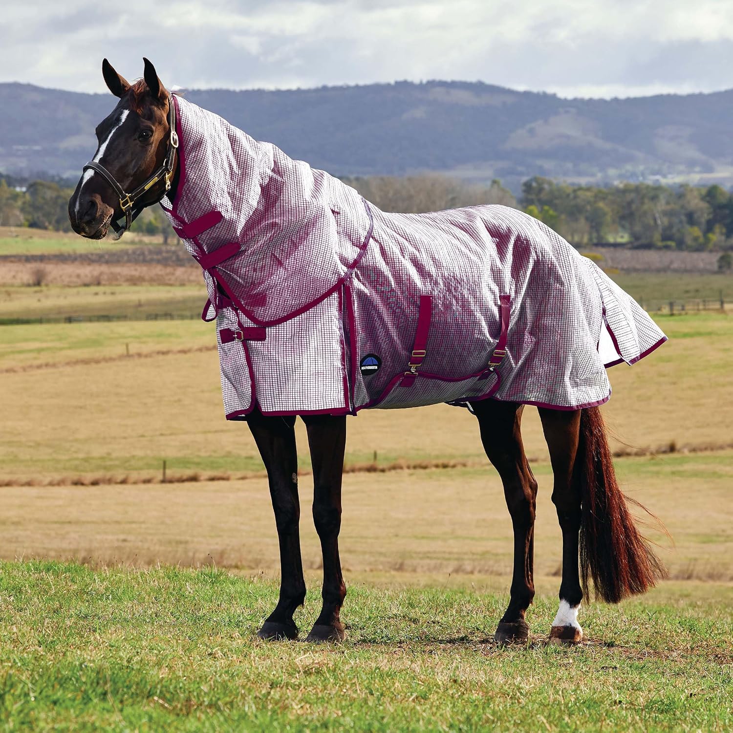 WeatherBeeta ComFiTec Ripshield 81 inch sheet showing the full wrap tail flap and adjustable leg straps.