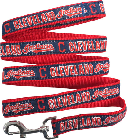 MLB PET Leash, Large, St. Louis Cardinals Dog Leash, Baseball Team Leash for Dogs & Cats. A Shiny & Colorful Dog & Cat Leash with Emboridered Team Name/Logo Licensed by the MLB - Image 14
