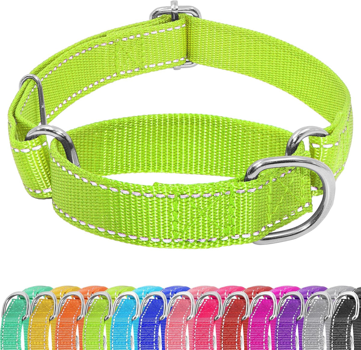 Seyezo martingale dog collar front view in vibrant green color showing reflective striping