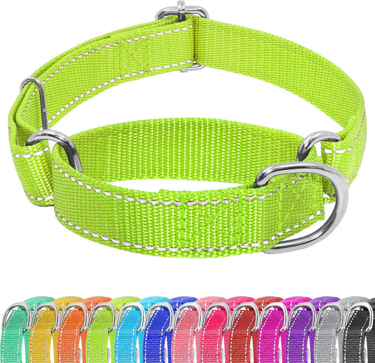 Seyezo martingale dog collar front view in vibrant green color showing reflective striping