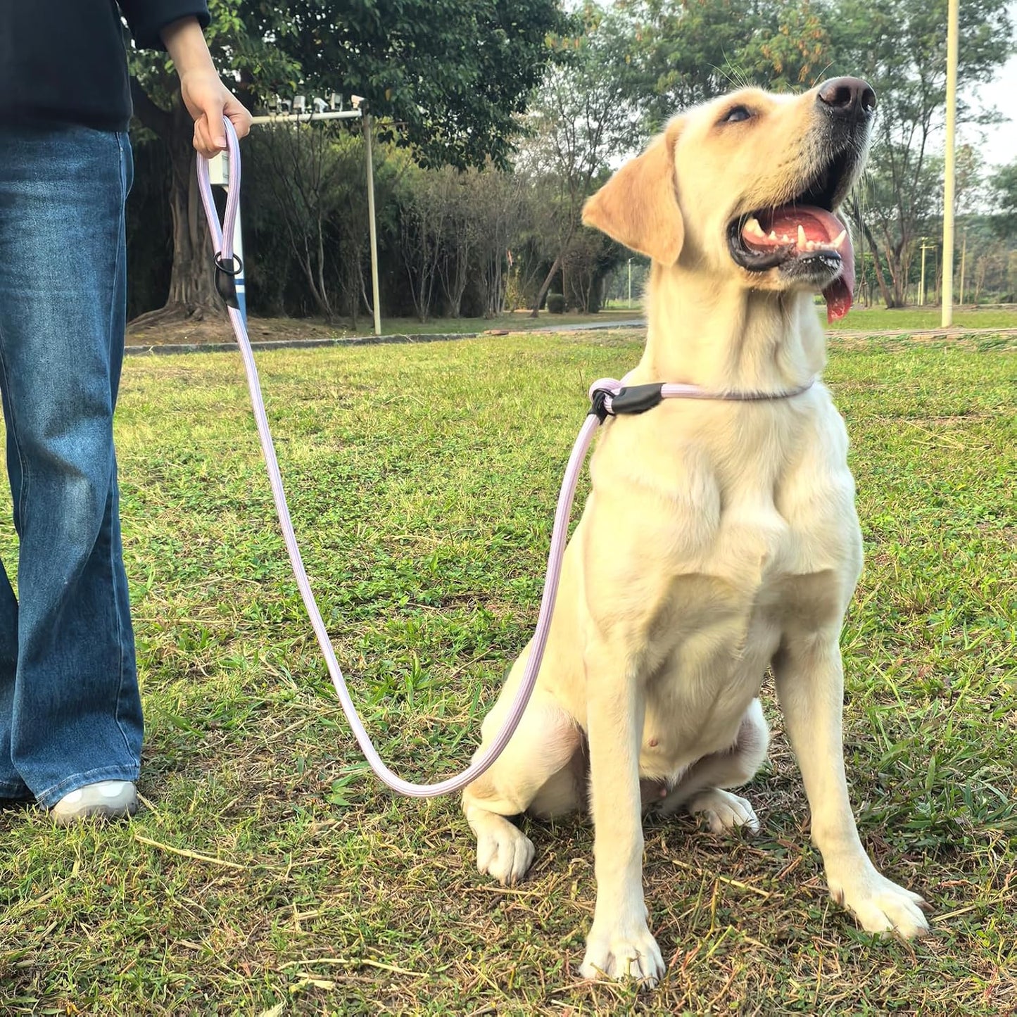 Morxil heavy duty pet control lead with leather stopper detail