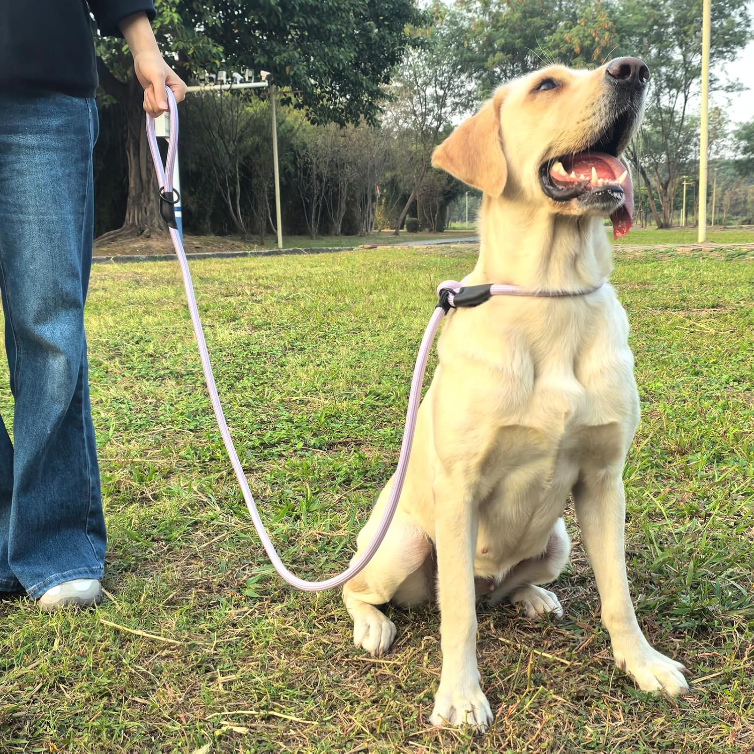 Morxil heavy duty pet control lead with leather stopper detail