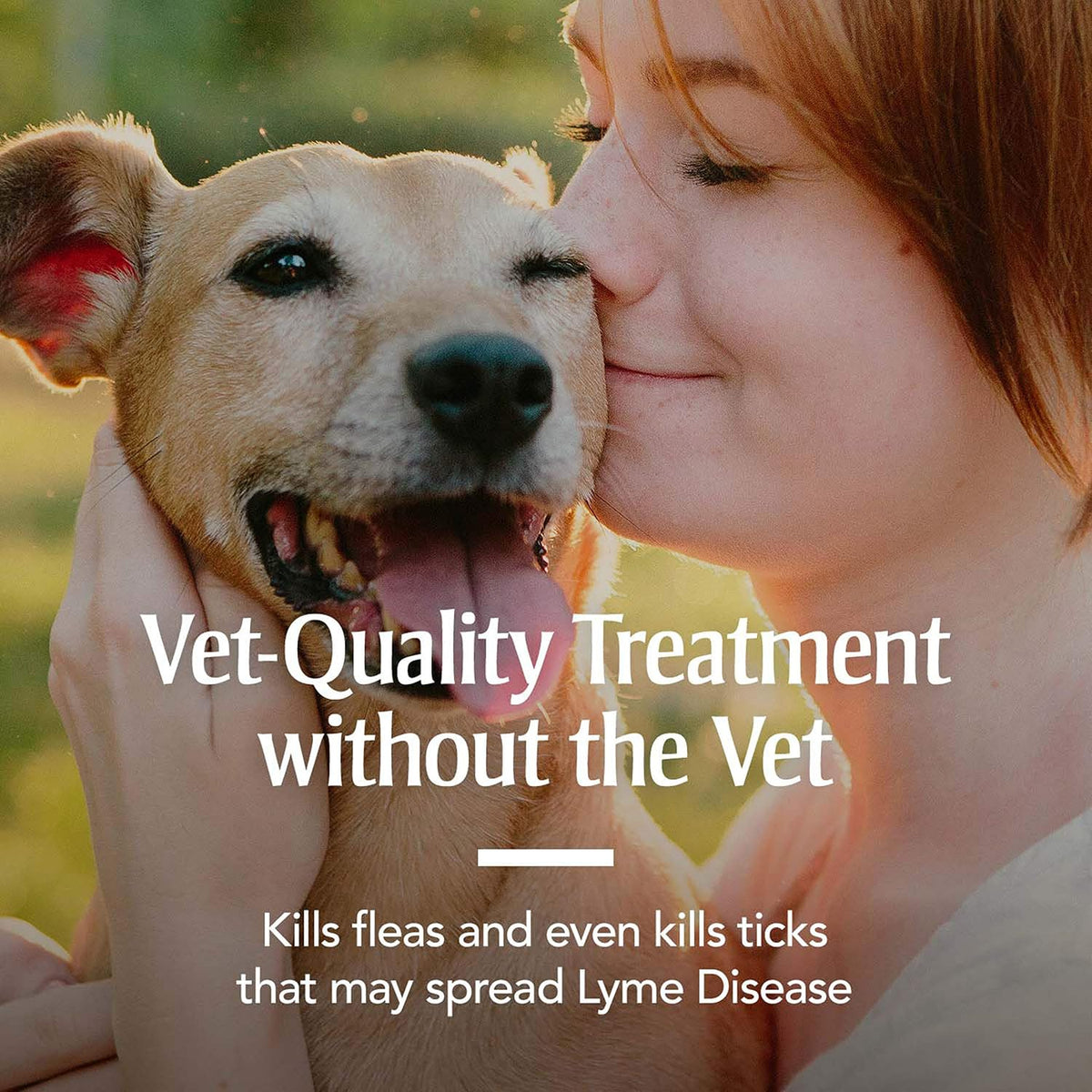Water-resistant flea and tick collar for dogs adjustable design